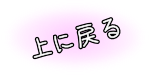 ページの一番上に戻る