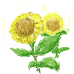 ひまわり
